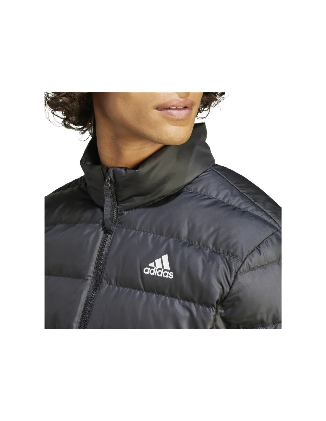 Veste adidas Essentials Lite Down Man