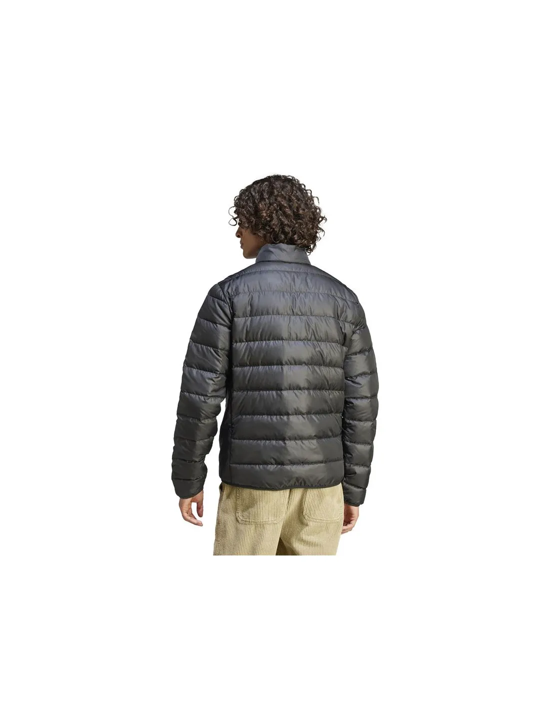 Veste adidas Essentials Lite Down Man